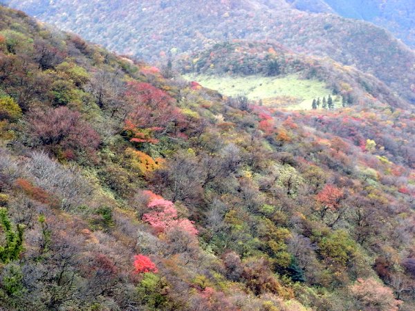 08-11：雲仙（紅葉）_f0187402_2252223.jpg