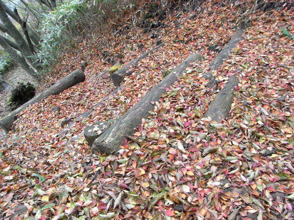 f0187402_22523779.jpg