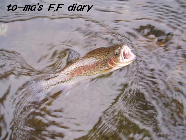 f0137709_1651128.jpg