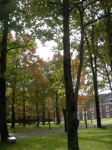 f0054610_21495798.jpg