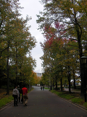 f0054610_21504639.jpg