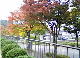 b0151911_411761.jpg