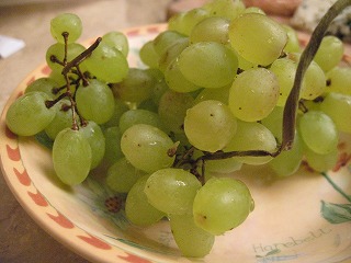 c0167813_0511653.jpg