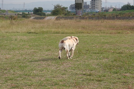 f0191413_9442071.jpg
