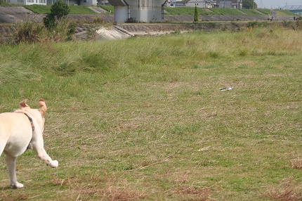 f0191413_94449.jpg