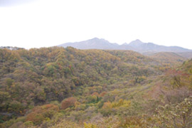 a0031714_1246351.jpg