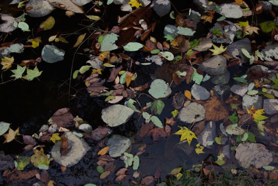 c0152317_1718640.jpg