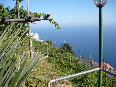 c0159117_14503597.jpg