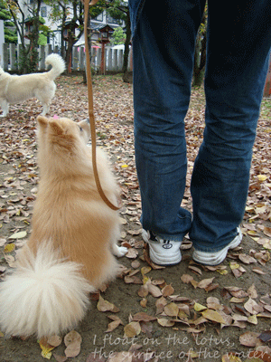 b0075318_2115587.gif