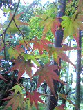 d0085018_1582458.jpg