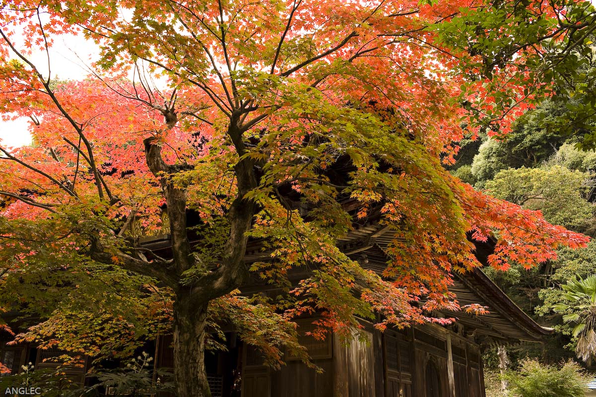 定光寺　その1_c0097723_21284684.jpg