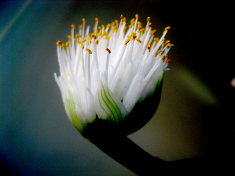 c0038424_7525962.jpg