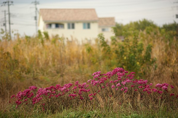 c0109827_18281490.jpg
