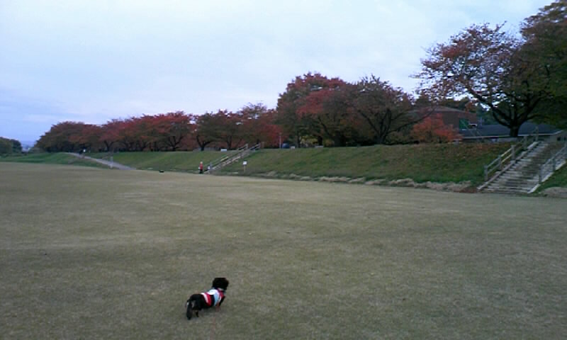 b0134529_1852215.jpg