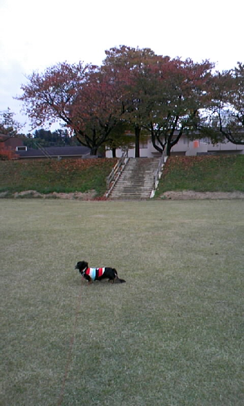 b0134529_1854946.jpg