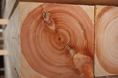 c0178231_0202954.jpg