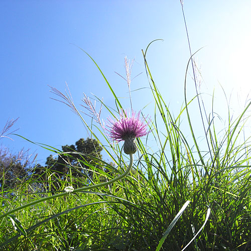 c0067040_21474858.jpg