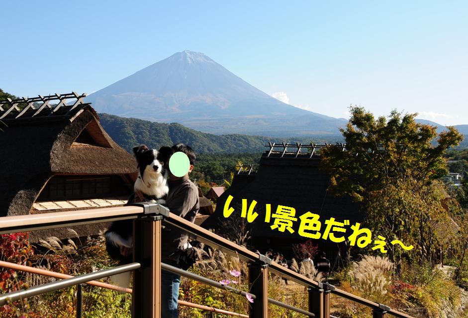 c0147241_14493685.jpg