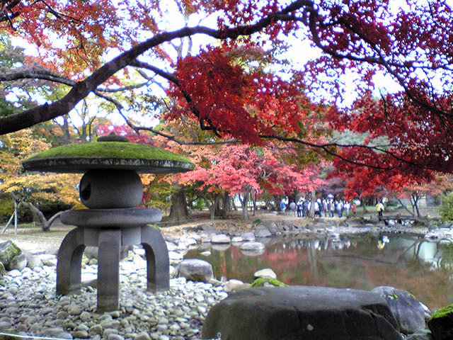 きょうは日曜日_f0081443_21922100.jpg