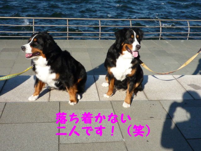 a0108146_12372636.jpg