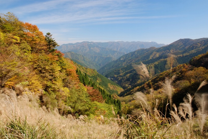 奈良県吉野郡上北山村　旧行者還林道の紅葉_f0067667_15404957.jpg