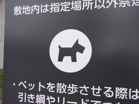 なにどれそれ_d0013269_22372739.jpg
