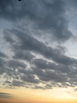 c0038170_21512228.jpg