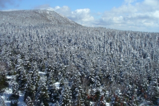 東北の旅その1_f0059671_23331540.jpg