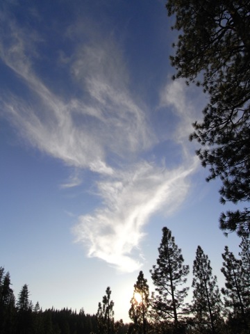 Shasta-9:マクラウド滝_c0173978_0144498.jpg