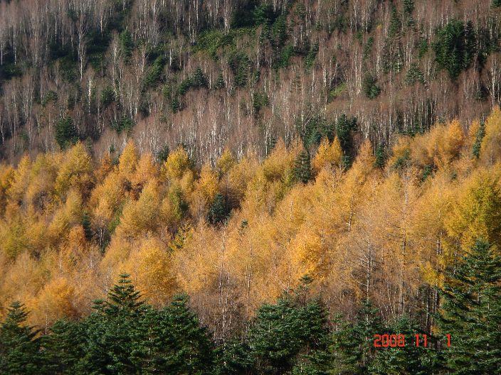 f0124378_2035105.jpg