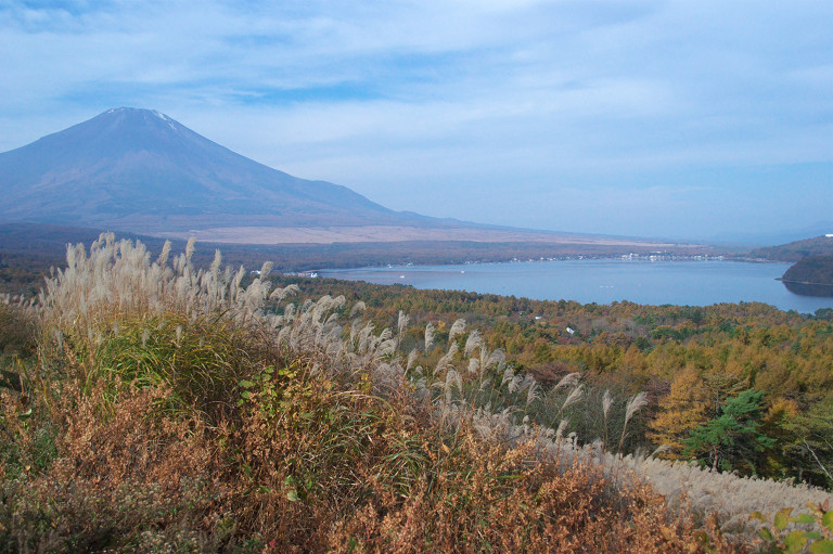 11月4日山中湖・富士山・箱根長安寺_f0190989_71309.jpg