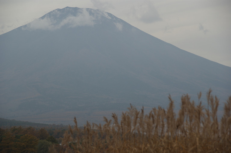 11月4日山中湖・富士山・箱根長安寺_f0190989_7142784.jpg