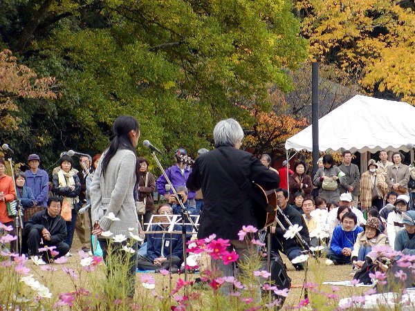 2008「私の好きな木」特別編_c0057390_23392112.jpg