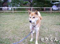 f0114893_10595999.jpg