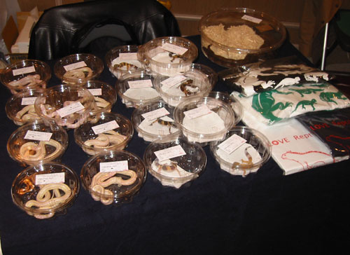 c0165803_0142482.jpg