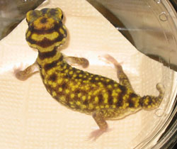 c0165803_0234727.jpg