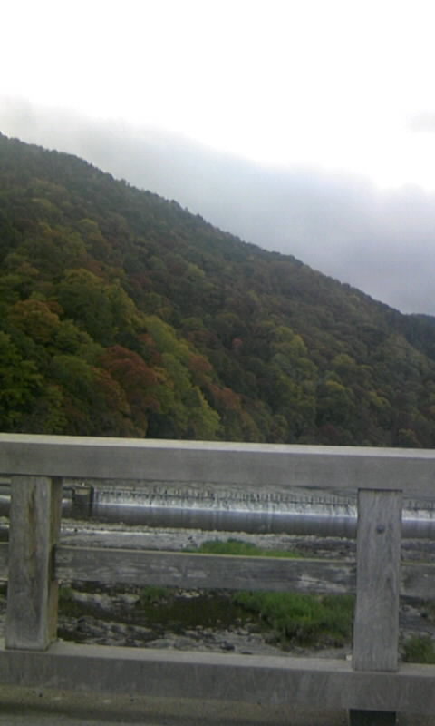 京都・嵐山の紅葉！_c0014904_17115571.jpg