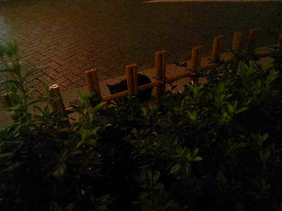 a0024005_14422555.jpg