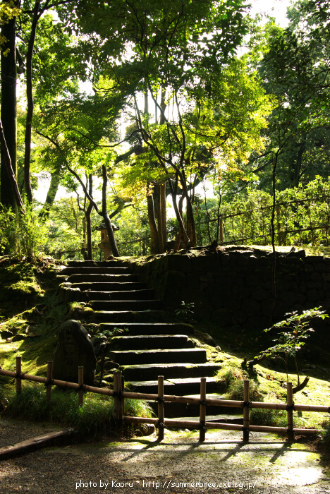 金沢小旅行記～光～_b0083811_22553567.jpg