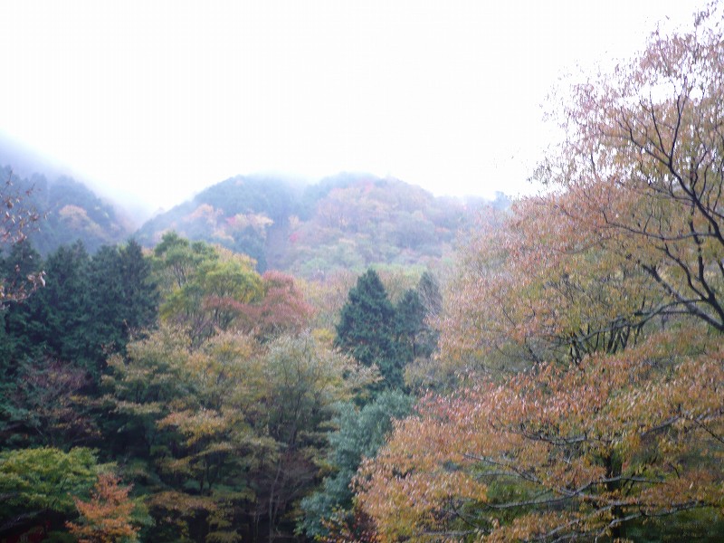 f0182513_2139416.jpg