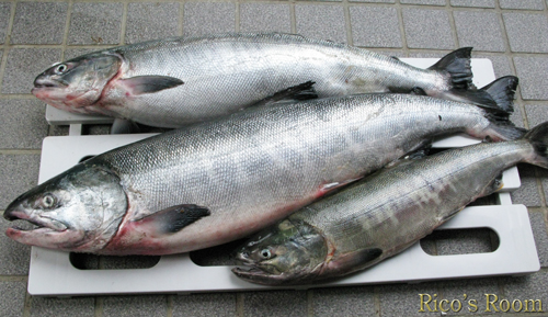 海鮭を頂戴したので、『はらこ飯』を炊いたよの巻♪_f0078014_2234872.jpg