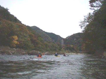 a0103615_11504711.gif