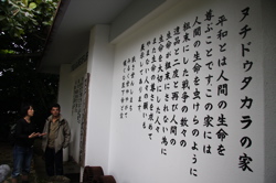 伊江島、辺野古。_b0006916_0464933.jpg