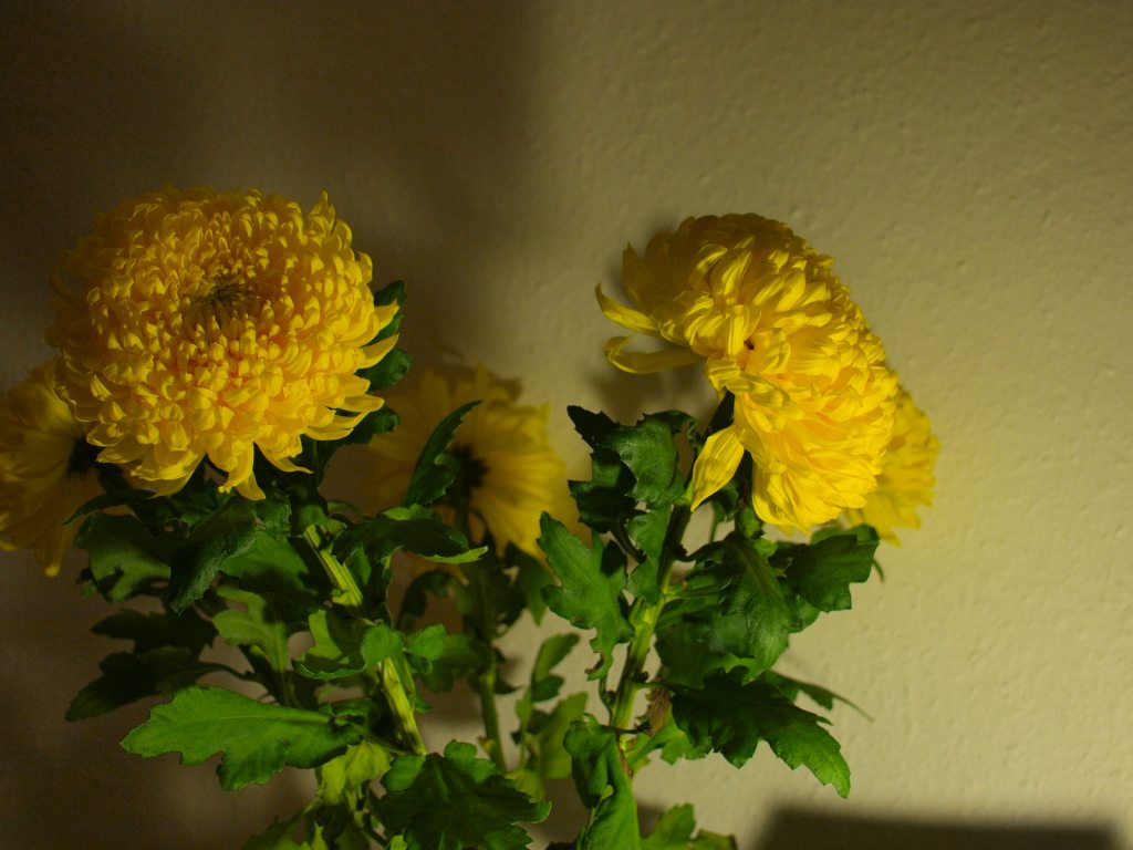 b0148617_7153274.jpg