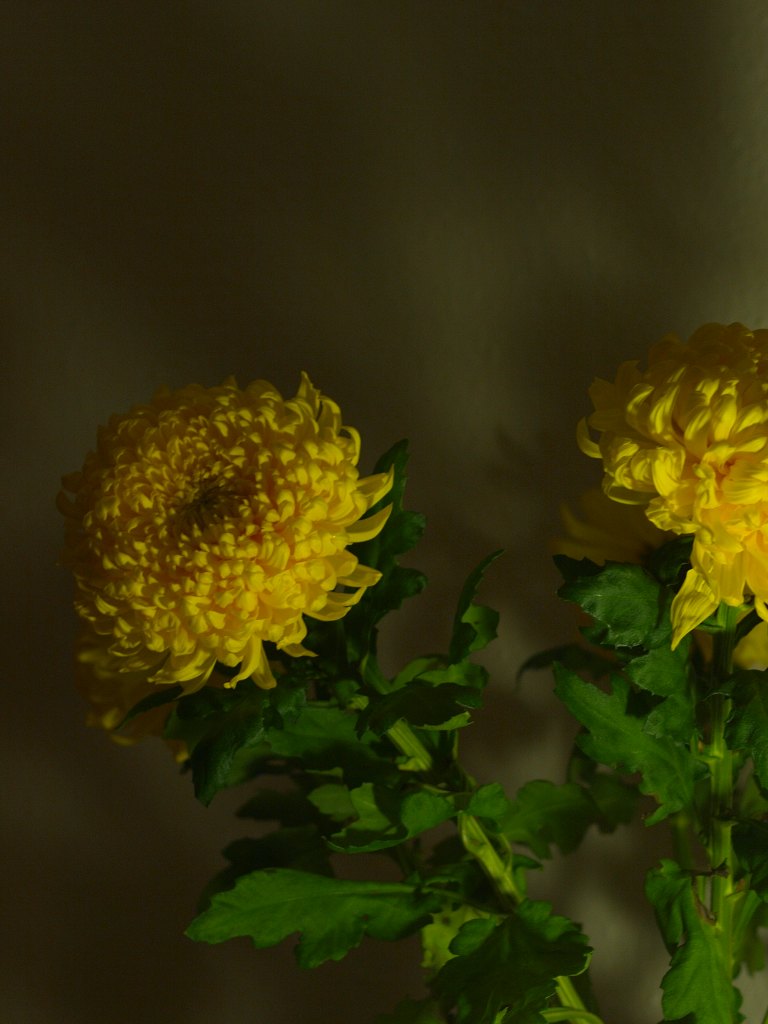b0148617_716759.jpg