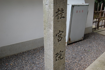 c0111017_20453858.jpg