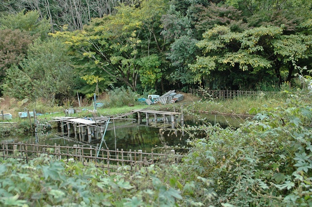 f0012718_19114584.jpg