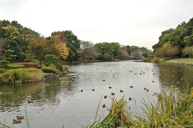 f0012718_1992065.jpg