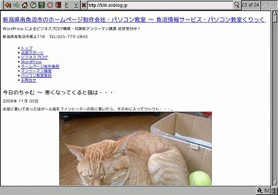 Damn Small Linux をう〜んと古いパソコンにインストールしてみた_d0015124_1433959.jpg