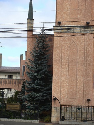 f0170524_18212442.jpg
